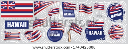 Vector set of flags of the American state of Hawaii in different designs