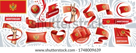 Vector set of the national flag of Montenegro in various creative designs