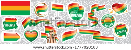 Vector set of the national flag of Bolivia in various creative designs