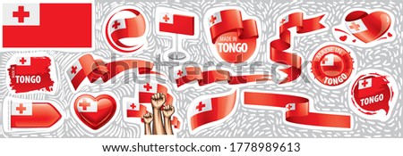 Vector set of the national flag of Tonga in various creative designs