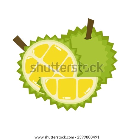 Vector illustration of durian fruit, a fruit that has been called the king of fruits in Southeast Asia. isolated on a white background.