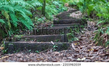 Similar – Foto Bild Treppen, nach oben Moos