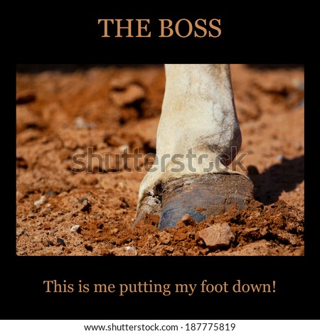 Motivational poster - THE BOSS - this is me putting my foot down