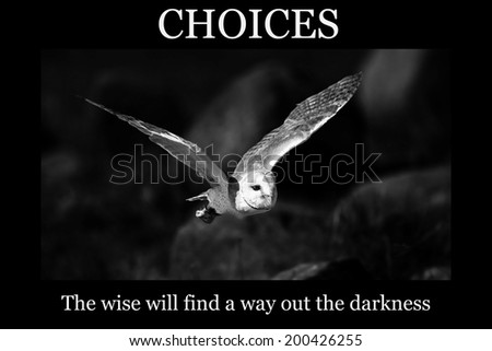 Motivational poster - CHOICES: barn owl flies out of darkness