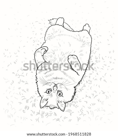 Shutterstock Puzzlepix