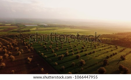 Similar – Foto Bild Luftaufnahme von Olivenbäumen, die ein Muster aus senkrechten Linien und braunem Feld bilden