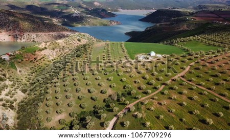 Similar – Foto Bild Luftaufnahme von Olivenbäumen, die ein Muster aus senkrechten Linien und braunem Feld bilden