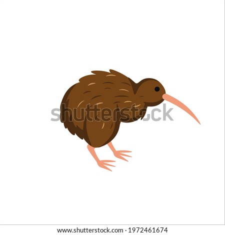 Cartoon kiwi bird on a white background.Flat cartoon illustration for kids.