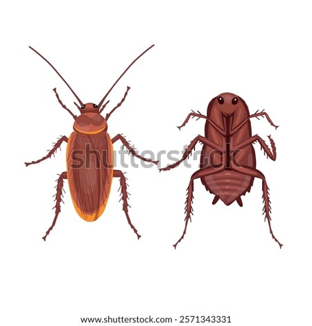 live and dead red cockroach. Red cockroach insect. Realistic Red cockroach  on white background. Top view. Vector.

