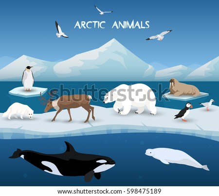 Collection of arctic animals in a background of arctic scenery