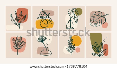 Various Leaves and Flowers, abstract shapes. Ink painting style. Contemporary Hand drawn Vector illustrations. Continuous line, minimalistic elegant concept. All elements are isolated