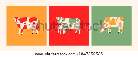 Set of three cards. Various cute Cows. Abstract colors. Hand drawn colored trendy Vector illustrations. Funny characters. Cartoon style. Isolated on white background