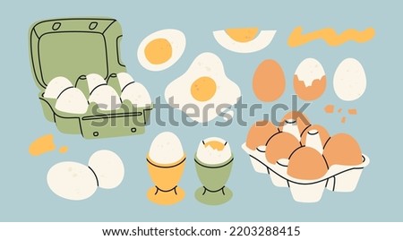 Chicken Eggs in carton boxes, boiled and fried eggs. Eggs with and without shell. Breakfast, organic farm food concept. Poultry production. Hand drawn Vector illustration. Isolated elements