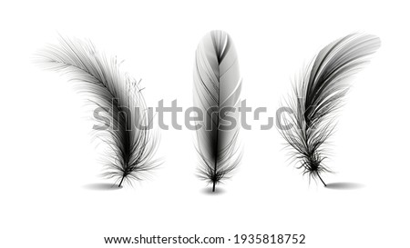 Set of flying realistic vector goose or chicken white feathers of various shapes Ecological feather filler for pillows, blankets or jackets. 
