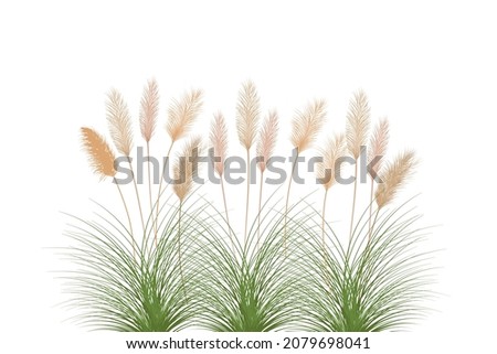 Similar – Image, Stock Photo dry grass Summer grass