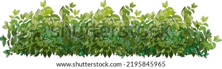 Ornamental green plant in the form of a hedge.Realistic garden shrub, seasonal bush, boxwood, tree crown bush foliage.For decorate of a park, a garden or a green fence.
 Photo stock © 