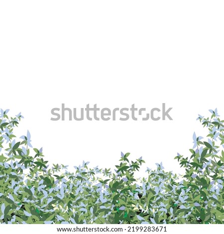 Ornamental green plant in the form of a hedge.Realistic garden shrub, seasonal bush, boxwood, tree crown bush foliage.For decorate of a park, a garden or a green fence.
 Photo stock © 