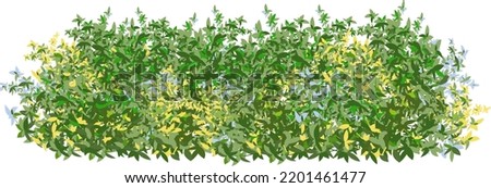 Set of ornamental green plant in the form of a hedge.Realistic garden shrub, seasonal bush, boxwood, tree crown bush foliage.For decorate of a park, a garden or a green fence.
 Photo stock © 