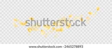 Yellow falling rose or sunflowers petals.Transparent panoramic horizontal background.Amber flower spring template.