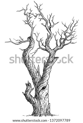 Bare Trees Clipart | Free download on ClipArtMag