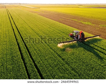 Image, Stock Photo Field of green wheat in Italy, near Pesaro and Urbino, in the region Marche of Italy. Close up of the ears with detail of the grains