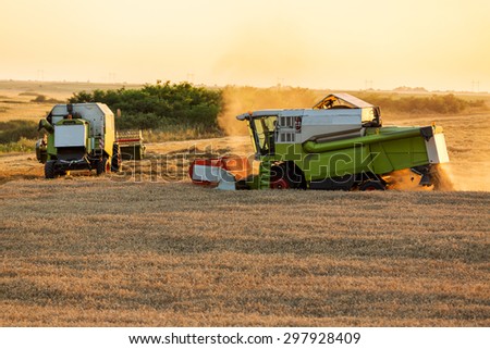 Combine harvesters in action on wheat field sunset