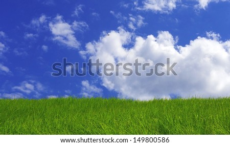 Green grass and blue sky with bird and clouds.