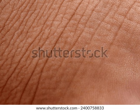 Similar – Image, Stock Photo Macro shot of a kiwi