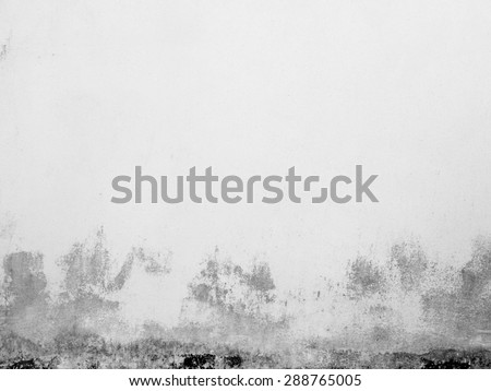 dirt white wall texture