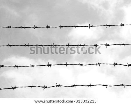 Barbed wire, black and white