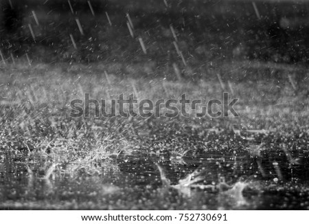 Similar – Foto Bild Detail der regen Tropfen auf sonnigen Blatt der Agave Pflanze