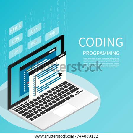 programmer coding binary computer isometric flat vector