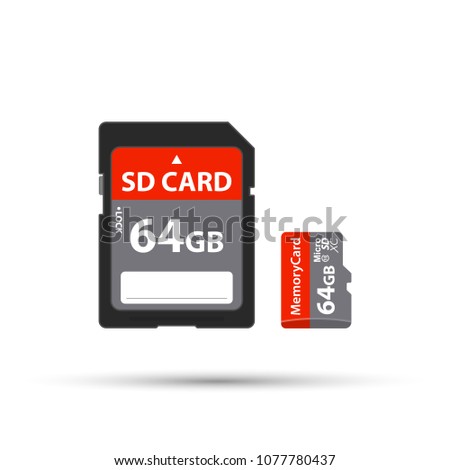 SD and Micro SD memory card. 64 GB. Vector stock illustration.