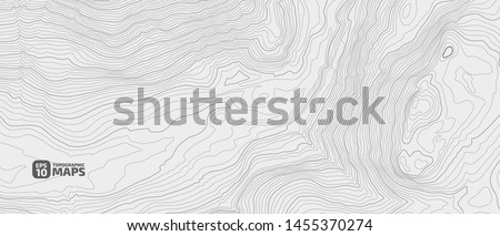 Stylized height of a topographic contour in lines and contours. Concept of a conditional geography scheme and the terrain path. Vector illustration.