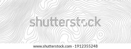 The stylized height of the topographic contour in lines and contours. The concept of a conditional geography scheme and the terrain path. Ultra wide size. Vector illustration.