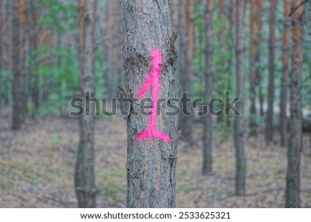 Similar – Image, Stock Photo bark painted red