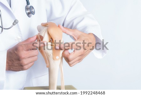 Closeup, Professional Doctor pointed on area of model knee joint. medical and orthopedic concept. Image with a soft focus, Copy space