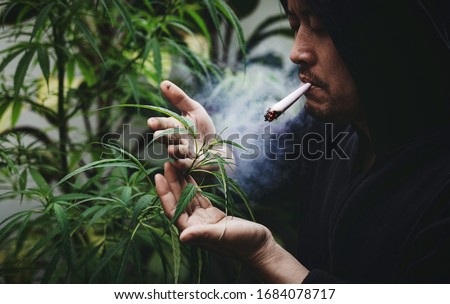 Similar – Image, Stock Photo Adult man smoking cannabis joint