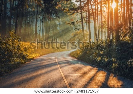 Similar – Image, Stock Photo path