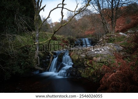 Similar – Image, Stock Photo Waterfall flowing through autumn forest in daylight