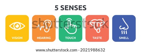 5 senses icon set. Containing vision, hearing, touch, taste and smell icon. Сток-фото © 