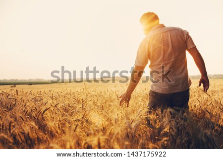 Similar – Image, Stock Photo Wheat field, golden ears of wheat swaying from the wind. View of ripening wheat field at summer day. Agriculture industry in Ukraine. famine in the world. Russia war in Ukraine