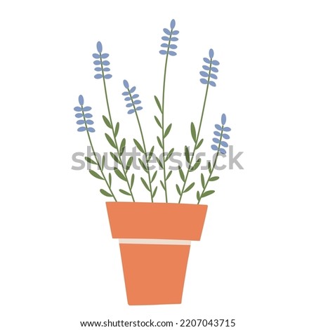 Lavender in pot, doodle icon of clay flowerpot with plant, vector illustration of earthenware, redware, terra cotta, home gardening, isolated colored clipart on white background