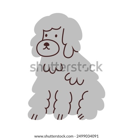 Vector illustration of a cute poodle dog with curly fluffy fur. Cartoon flat style, bichon, havanese or barbet puppy. Domestic animal icon for animal lovers, grooming salon, vet clinic