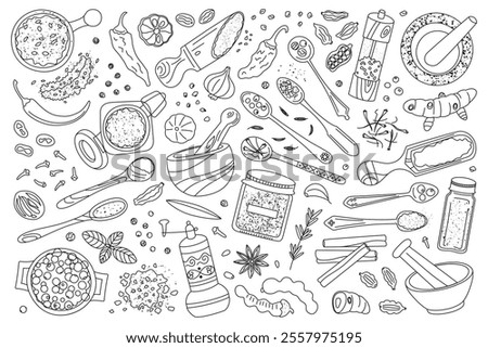 Set of black and white vector illustrations of spices and herbs for cooking. Chili, cardamom, turmeric doodles, outline tamarind, zaatar, nutmeg, kitchen tools collection, mortars, pestles, spoons