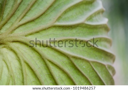 Shutterstock Puzzlepix