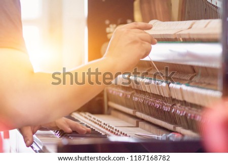 Similar – Image, Stock Photo Craftsman tuning string instrument in workshop