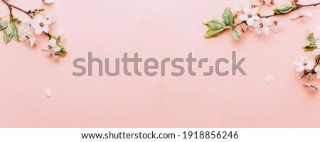 Sakura background with flower blossom and April floral nature on pink. Beautiful scene with blooming tree. Easter Sunny day. Orchard abstract blurred background. Springtime