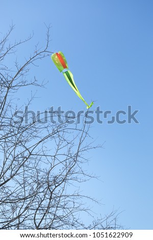 Similar – Image, Stock Photo kite caught in bare tree
