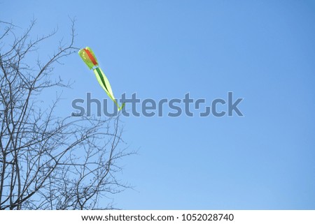 Similar – Image, Stock Photo kite caught in bare tree